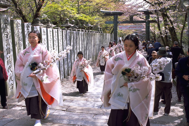 讃岐路に春の訪れを告げる ～金刀比羅宮『桜花祭』～