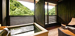 Japanese-Western Room w/ open-air bath Type D
